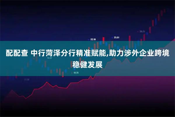 配配查 中行菏泽分行精准赋能,助力涉外企业跨境稳健发展