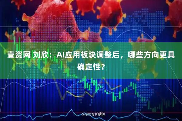 壹资网 刘欣：AI应用板块调整后，哪些方向更具确定性？