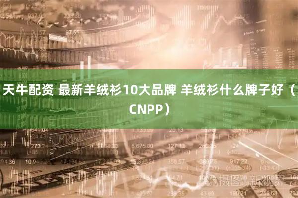 天牛配资 最新羊绒衫10大品牌 羊绒衫什么牌子好（CNPP）