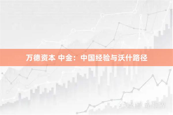 万德资本 中金：中国经验与沃什路径